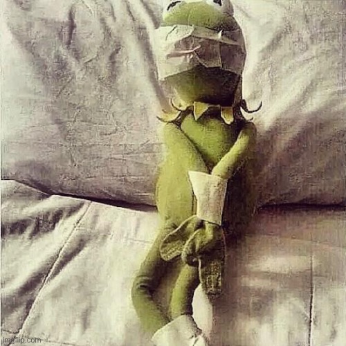 Kermit Bound | image tagged in kermit bound | made w/ Imgflip meme maker