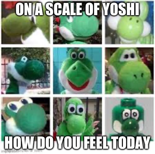 ON A SCALE OF YOSHI; HOW DO YOU FEEL TODAY | image tagged in yoshi | made w/ Imgflip meme maker