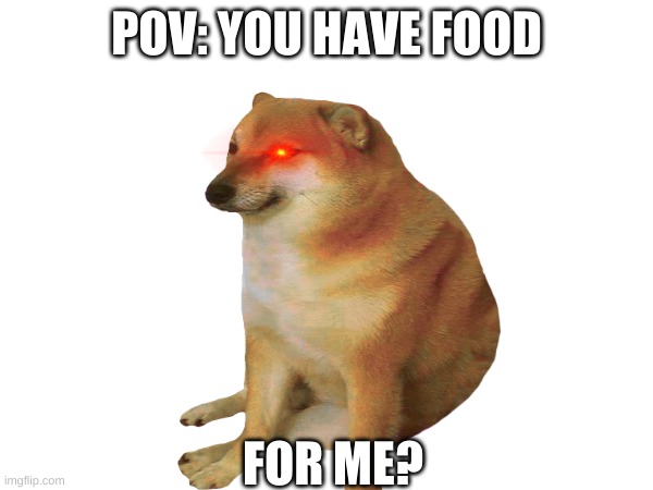 dogs be like: | POV: YOU HAVE FOOD; FOR ME? | image tagged in cheems,food,funny,dog | made w/ Imgflip meme maker