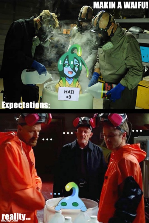 image tagged in memes | made w/ Imgflip meme maker