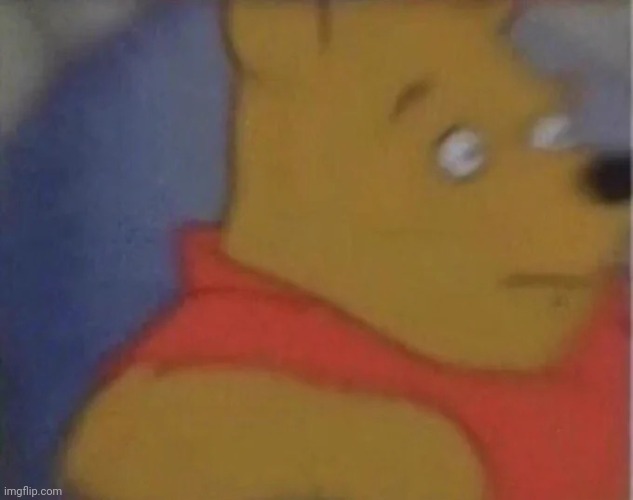 SHOCKED POOH | image tagged in shocked pooh | made w/ Imgflip meme maker