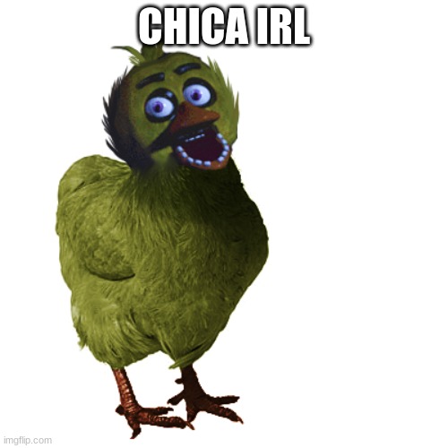 CHICA IRL | made w/ Imgflip meme maker