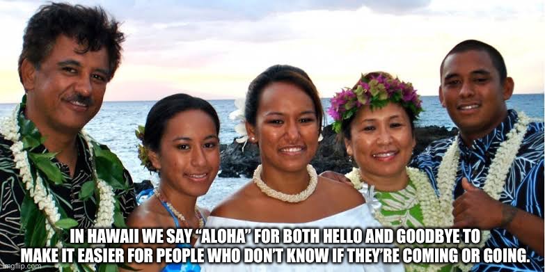 IN HAWAII WE SAY “ALOHA” FOR BOTH HELLO AND GOODBYE TO MAKE IT EASIER FOR PEOPLE WHO DON’T KNOW IF THEY’RE COMING OR GOING. | image tagged in hawaiian | made w/ Imgflip meme maker