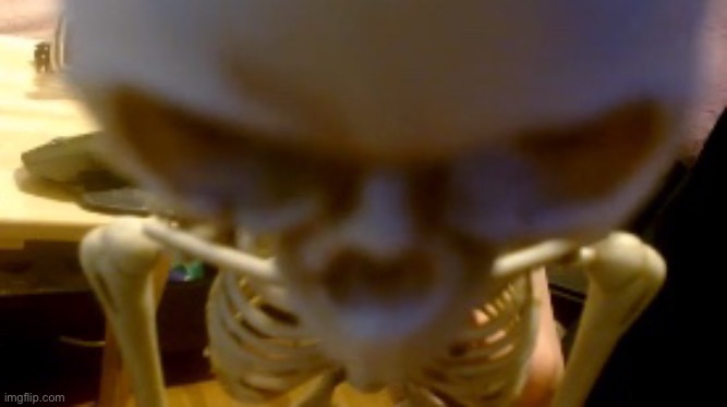 angry skeleton | image tagged in angry skeleton | made w/ Imgflip meme maker