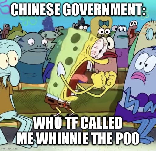 Spongebob Yelling | CHINESE GOVERNMENT:; WHO TF CALLED ME WHINNIE THE POO | image tagged in spongebob yelling | made w/ Imgflip meme maker