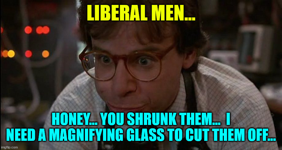 Honey I Shrunk the | LIBERAL MEN... HONEY... YOU SHRUNK THEM...  I NEED A MAGNIFYING GLASS TO CUT THEM OFF... | image tagged in honey i shrunk the | made w/ Imgflip meme maker