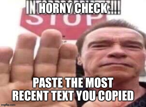 intorpropriatte | HORNY CHECK; PASTE THE MOST RECENT TEXT YOU COPIED | image tagged in intorpropriatte | made w/ Imgflip meme maker