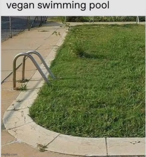 Vegan swimming pool | image tagged in funny,pool | made w/ Imgflip meme maker