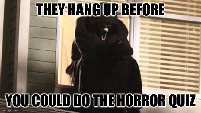 Any who has seen Scream will understand | THEY HANG UP BEFORE; YOU COULD DO THE HORROR QUIZ | image tagged in sad ghostface,scream | made w/ Imgflip meme maker