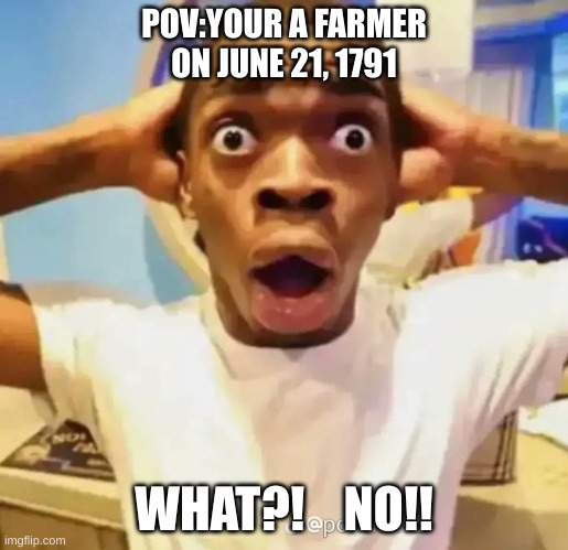 Shocked black guy | POV:YOUR A FARMER ON JUNE 21, 1791; WHAT?!    NO!! | image tagged in shocked black guy | made w/ Imgflip meme maker