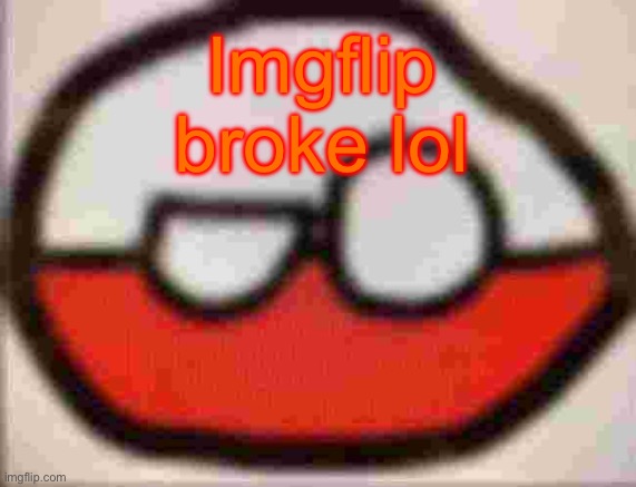 puolen | Imgflip broke lol | image tagged in puolen | made w/ Imgflip meme maker