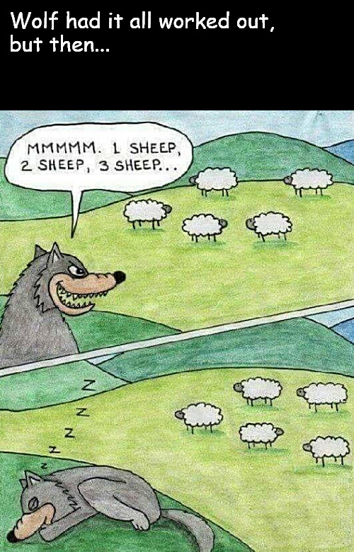Sheep self defense | Wolf had it all worked out,
but then... | image tagged in memes,middle school,sheep | made w/ Imgflip meme maker