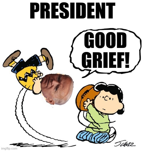 I Think It's Fitting | PRESIDENT; GOOD GRIEF! | image tagged in lucy football charlie brown,politics,joe biden,president,good,grief | made w/ Imgflip meme maker