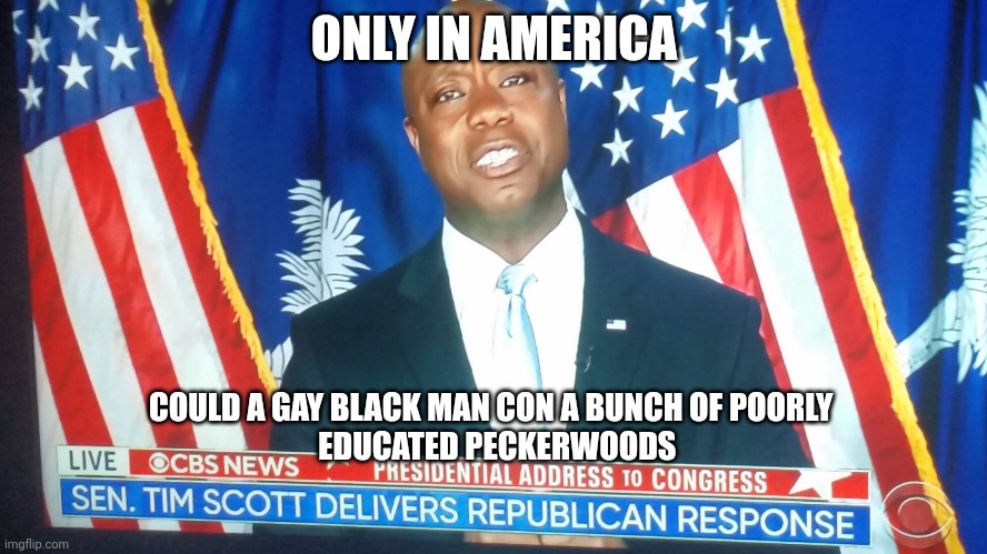 gay | ONLY IN AMERICA; COULD A GAY BLACK MAN CON A BUNCH OF POORLY 
 EDUCATED PECKERWOODS | image tagged in tim scott,gay | made w/ Imgflip meme maker