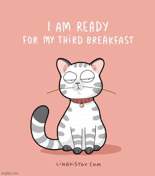 A Cat's Way Of Thinking | image tagged in memes,comics/cartoons,cats,ready,breakfast,three | made w/ Imgflip meme maker