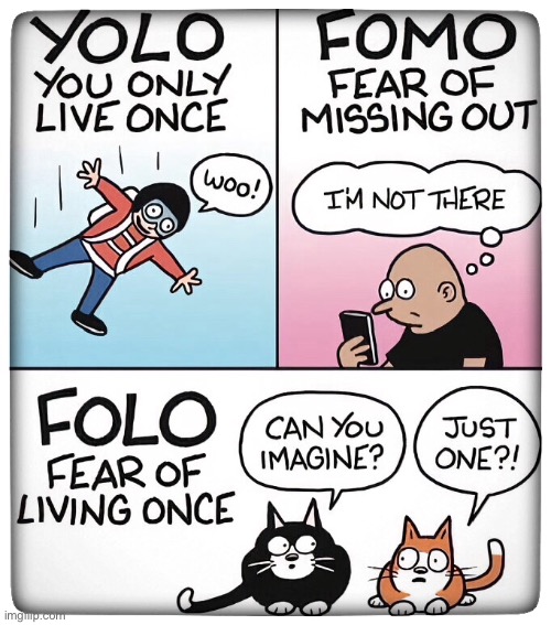 Fear of living once | image tagged in folo,yolo,fomo | made w/ Imgflip meme maker