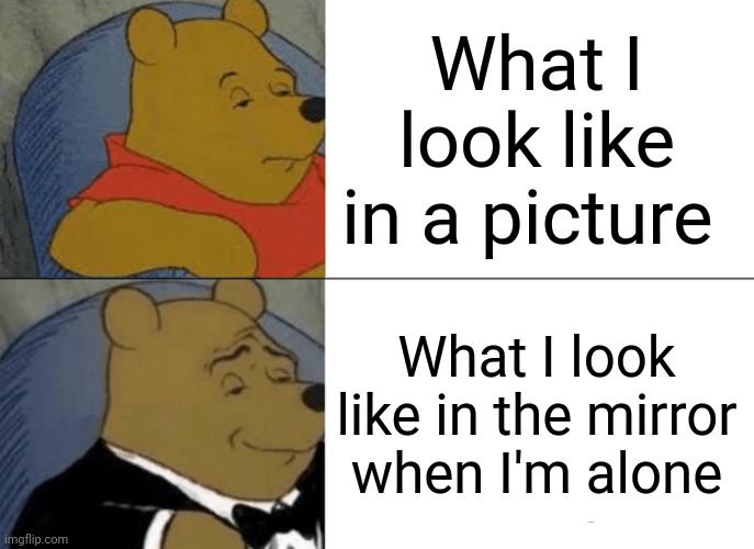 Tuxedo Winnie The Pooh | What I look like in a picture; What I look like in the mirror when I'm alone | image tagged in memes,tuxedo winnie the pooh | made w/ Imgflip meme maker
