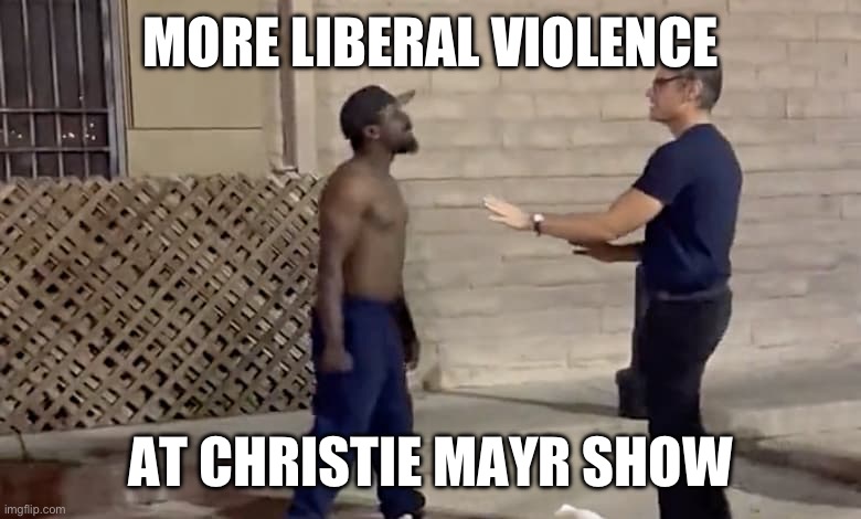 As opposed to the fake violence they accuse conservatives of. | MORE LIBERAL VIOLENCE; AT CHRISTIE MAYR SHOW | image tagged in politics,liberal hypocrisy,stupid people,violence,liberal logic,puppies and kittens | made w/ Imgflip meme maker
