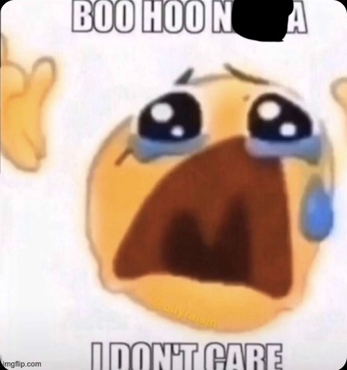 boo hoo I don't care | image tagged in boo hoo i don't care | made w/ Imgflip meme maker