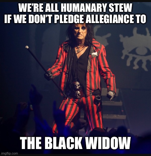 Alice Cooper | WE’RE ALL HUMANARY STEW
IF WE DON’T PLEDGE ALLEGIANCE TO; THE BLACK WIDOW | image tagged in alice cooper | made w/ Imgflip meme maker