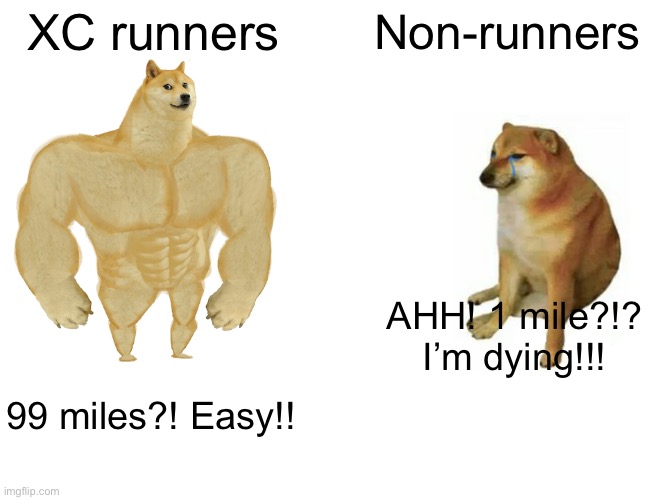 Cross country | XC runners; Non-runners; AHH! 1 mile?!? I’m dying!!! 99 miles?! Easy!! | image tagged in memes,buff doge vs cheems | made w/ Imgflip meme maker