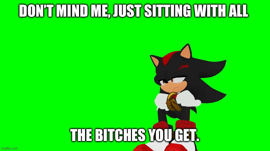 Meh | DON’T MIND ME, JUST SITTING WITH ALL; THE BITCHES YOU GET. | image tagged in shadow,shadow sits | made w/ Imgflip meme maker