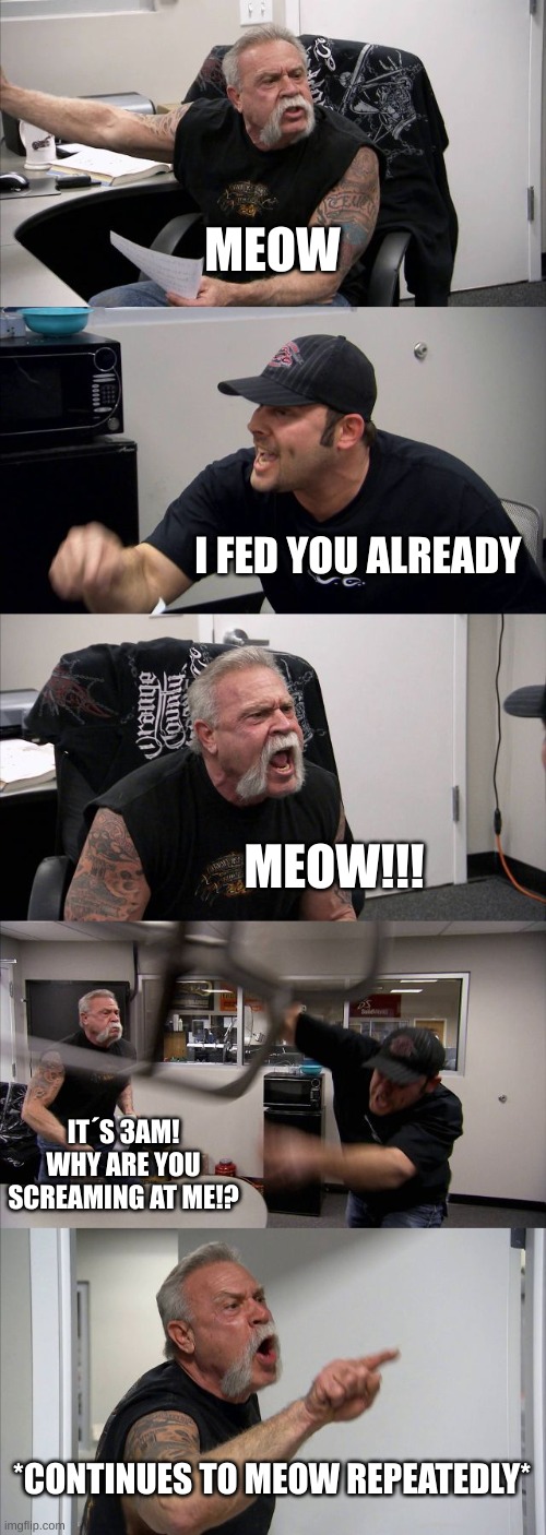 when you feed your cat | MEOW; I FED YOU ALREADY; MEOW!!! IT´S 3AM! WHY ARE YOU SCREAMING AT ME!? *CONTINUES TO MEOW REPEATEDLY* | image tagged in memes,american chopper argument | made w/ Imgflip meme maker