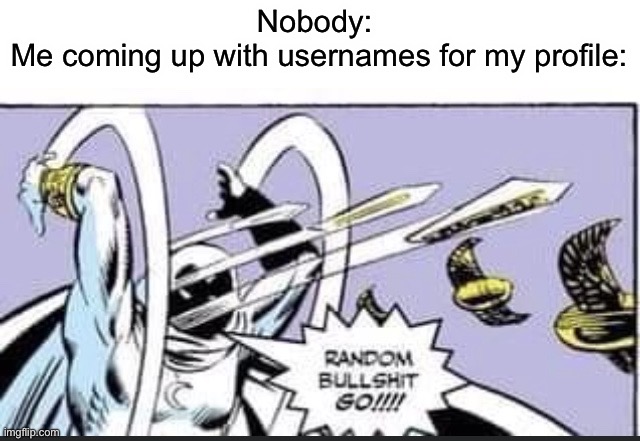 I can never think of a username T-T | Nobody: 
Me coming up with usernames for my profile: | image tagged in random bullshit go | made w/ Imgflip meme maker