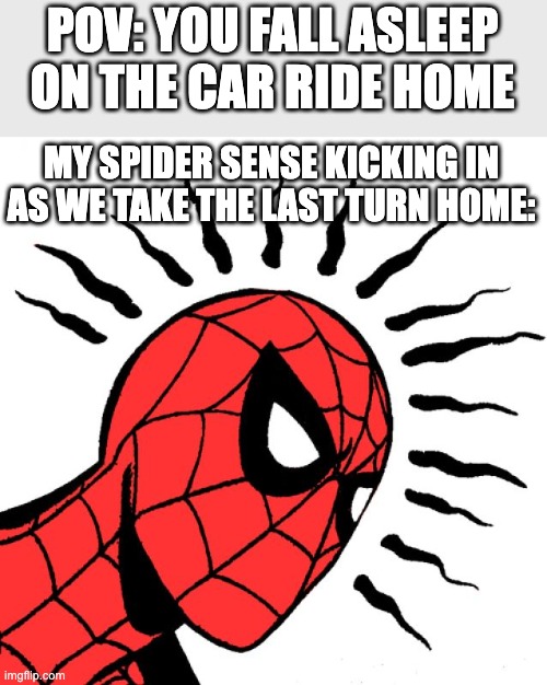 Creepy... | POV: YOU FALL ASLEEP ON THE CAR RIDE HOME; MY SPIDER SENSE KICKING IN AS WE TAKE THE LAST TURN HOME: | image tagged in spider sense | made w/ Imgflip meme maker