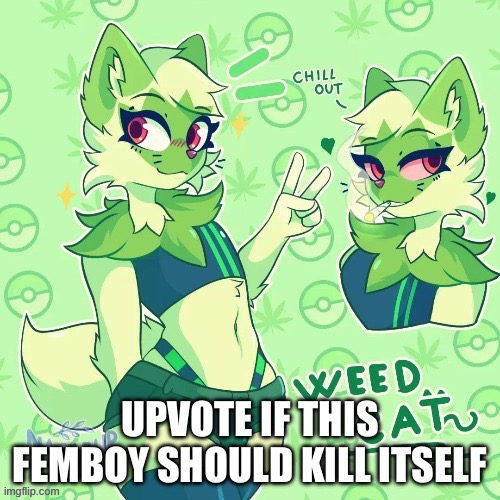 Furry Art | UPVOTE IF THIS FEMBOY SHOULD KILL ITSELF | image tagged in furry art | made w/ Imgflip meme maker
