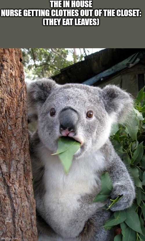 Surprised Koala Meme | THE IN HOUSE NURSE GETTING CLOTHES OUT OF THE CLOSET:

(THEY EAT LEAVES) | image tagged in memes,surprised koala | made w/ Imgflip meme maker