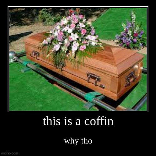 ok | this is a coffin | why tho | image tagged in demotivationals | made w/ Imgflip demotivational maker