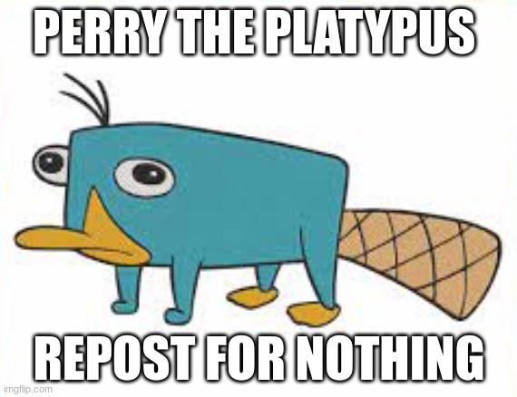 did you know that if you repost then you get nothing | PERRY THE PLATYPUS; REPOST FOR NOTHING | made w/ Imgflip meme maker