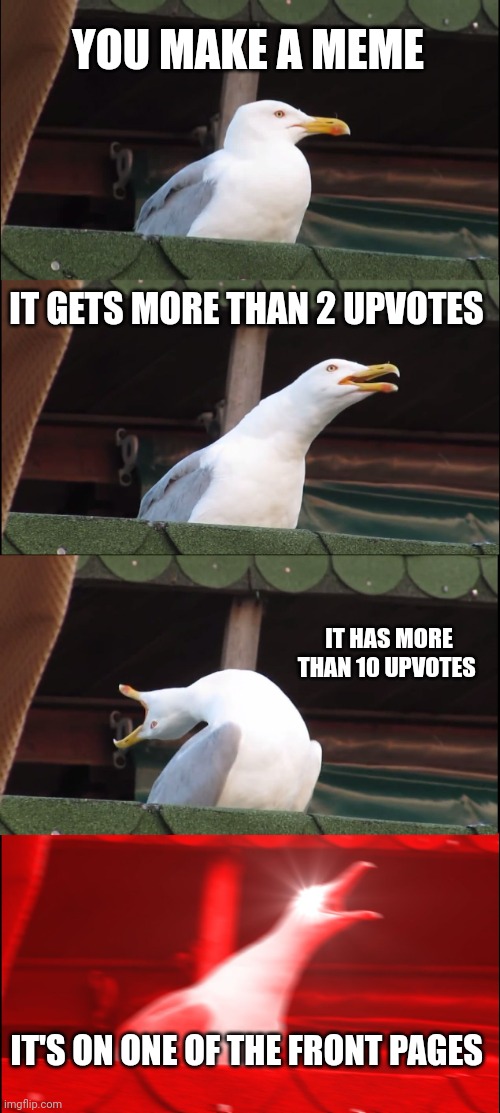 We all wish. | YOU MAKE A MEME; IT GETS MORE THAN 2 UPVOTES; IT HAS MORE THAN 10 UPVOTES; IT'S ON ONE OF THE FRONT PAGES | image tagged in memes,inhaling seagull | made w/ Imgflip meme maker