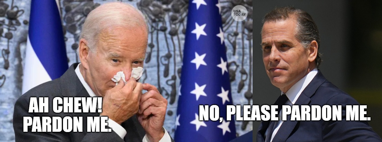 Joe Biden | AH CHEW!  PARDON ME. NO, PLEASE PARDON ME. | image tagged in pardon | made w/ Imgflip meme maker