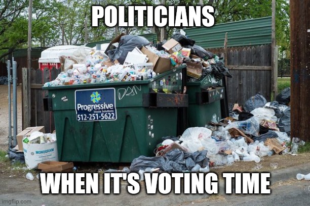 garbage  | POLITICIANS; WHEN IT'S VOTING TIME | image tagged in garbage | made w/ Imgflip meme maker