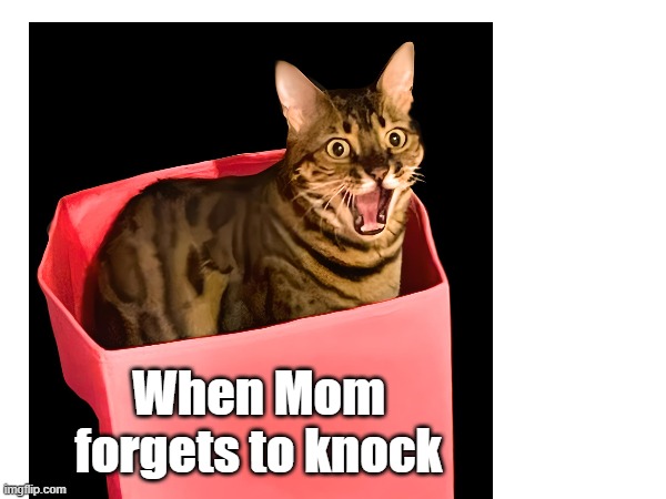 Babar caught by Mom | When Mom
forgets to knock | image tagged in mom,uh oh,nooooooooo | made w/ Imgflip meme maker