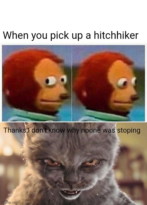 When you pick up a hitchhiker; Thanks,I don't know why noone was stoping | image tagged in memes,monkey puppet,evil cat | made w/ Imgflip meme maker