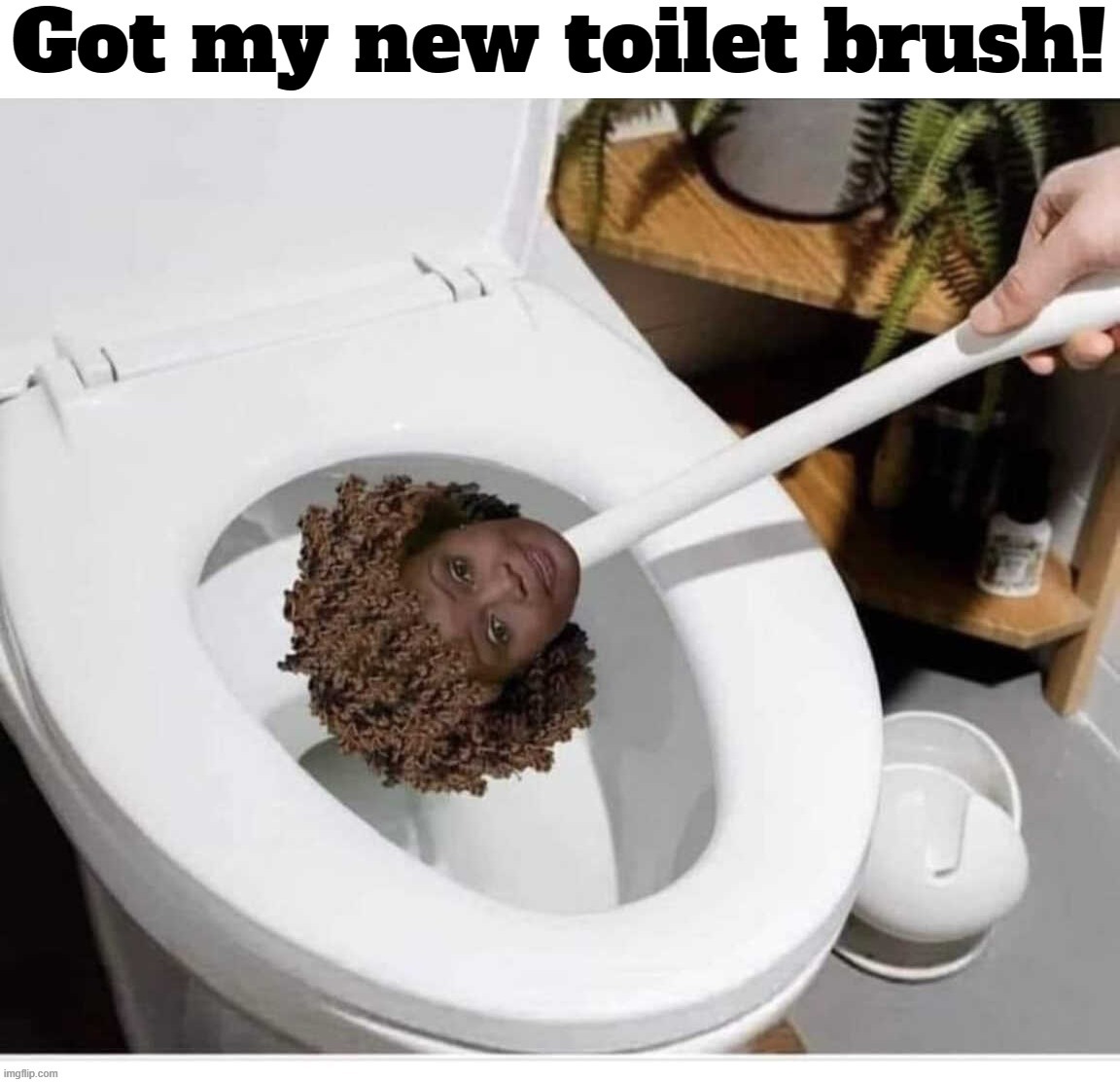 Perfect! | image tagged in kjp,karens,omg karen,mega karen,toilet humor,shitpost | made w/ Imgflip meme maker