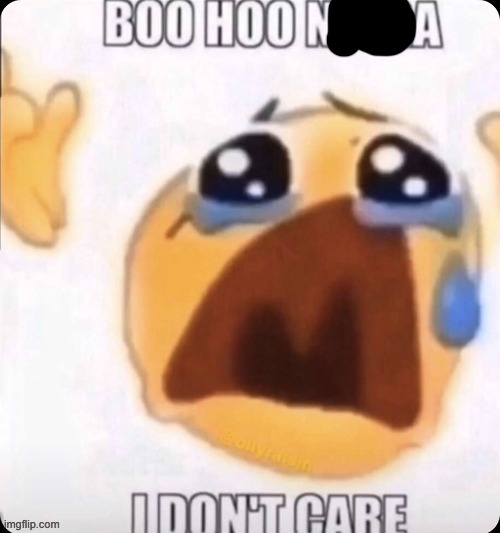 boo hoo I don't care | image tagged in boo hoo i don't care | made w/ Imgflip meme maker