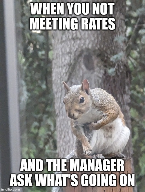 206 memes | WHEN YOU NOT MEETING RATES; AND THE MANAGER ASK WHAT'S GOING ON | image tagged in work life | made w/ Imgflip meme maker