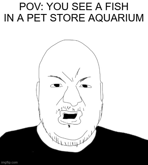 fish | POV: YOU SEE A FISH
IN A PET STORE AQUARIUM | image tagged in pronouns,memes | made w/ Imgflip meme maker