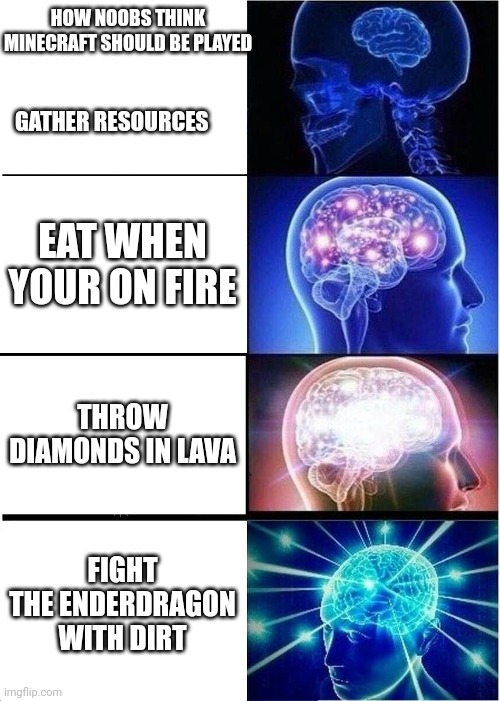 Expanding Brain | HOW NOOBS THINK MINECRAFT SHOULD BE PLAYED; GATHER RESOURCES; EAT WHEN YOUR ON FIRE; THROW DIAMONDS IN LAVA; FIGHT THE ENDERDRAGON WITH DIRT | image tagged in memes,expanding brain | made w/ Imgflip meme maker