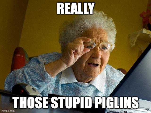 Grandma Finds The Internet | REALLY; THOSE STUPID PIGLINS | image tagged in memes,grandma finds the internet | made w/ Imgflip meme maker