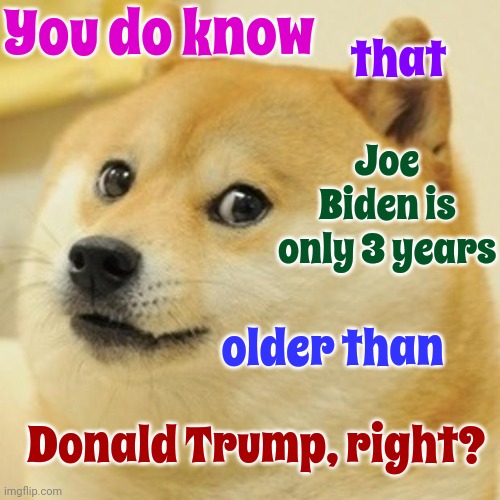 The Difference Between 77 and 80 Is Only 3 Years | You do know; that; Joe Biden is only 3 years; older than; Donald Trump, right? | image tagged in memes,doge,scumbag trump,lock him up,re-elect no one,scumbag maga | made w/ Imgflip meme maker