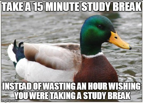 Actual Advice Mallard Meme | TAKE A 15 MINUTE STUDY BREAK INSTEAD OF WASTING AN HOUR WISHING YOU WERE TAKING A STUDY BREAK | image tagged in memes,actual advice mallard,AdviceAnimals | made w/ Imgflip meme maker