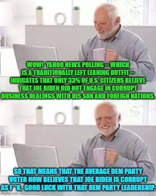 Hey leftist leadership . . . do you now hear those political chickens coming home to roost? | WOW!  YAHOO NEWS POLLING -- WHICH IS A TRADITIONALLY LEFT LEANING OUTFIT -- INDICATES THAT ONLY 33% OF U.S. CITIZENS BELIEVE THAT JOE BIDEN DID NOT ENGAGE IN CORRUPT BUSINESS DEALINGS WITH HIS SON AND FOREIGN NATIONS. SO THAT MEANS THAT THE AVERAGE DEM PARTY VOTER NOW BELIEVES THAT JOE BIDEN IS CORRUPT AS F**K.  GOOD LUCK WITH THAT DEM PARTY LEADERSHIP. | image tagged in hide the pain harold | made w/ Imgflip meme maker