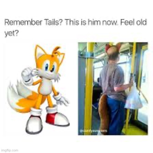 image tagged in tails | made w/ Imgflip meme maker