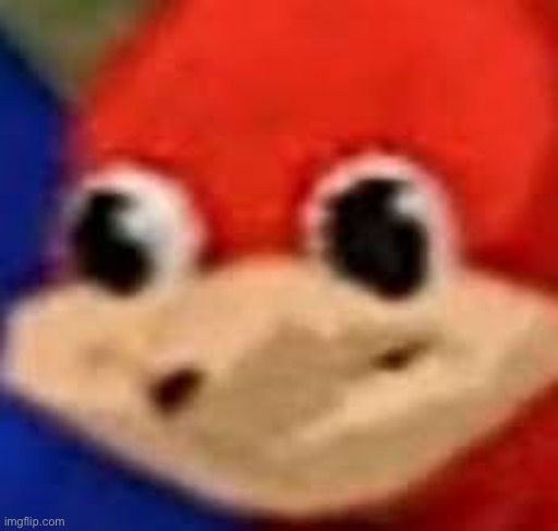 Caption this | image tagged in ugandan knuckles | made w/ Imgflip meme maker