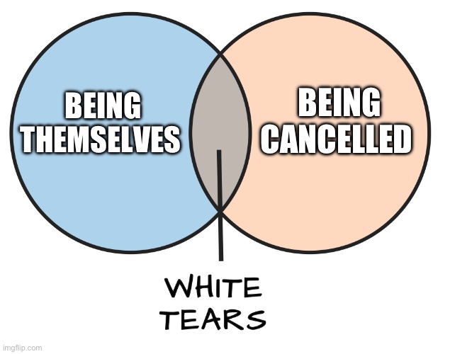 Anti-racism - what makes racists cry? | BEING CANCELLED; BEING THEMSELVES | image tagged in white tears,anti-racism,cancel culture,racism,racists,fascists | made w/ Imgflip meme maker